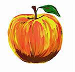 hand painted apple on white background