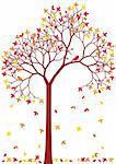 autumn tree with colorful falling leaves, vector