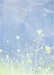 Meadow flower pale blue textured background with text space
