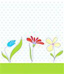 Baby seamless floral background. Vector illustration in different color.
