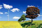 blissful landscape with field and wind turbine