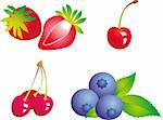Set of fruit vectors. To see similar, please VISIT MY PORTFOLIO