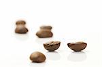 focus on two coffee beans between others on white background