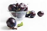 Fresh ripe plums in a glass bowl and around isolated on white background