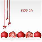 illustration of vector Rosh Hashanah wishes with pomegranate on an isolated background