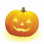 vector halloween pumpkin vegetable fruit isolated on white background