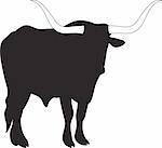 Bull vector. To see similar, please VISIT MY PORTFOLIO