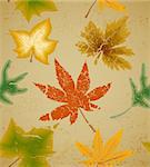 Autumn art floral vintage seamless background. Vector illustration