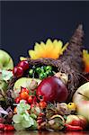 Autumn cornucopia - symbol of food and abundance