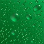 Water drops are on the green surface. Vector seamless background image