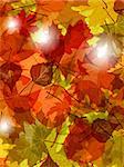 Light through autumn leaves. EPS 8 vector file included