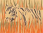 Vector illustration of a tiger in dry grass with tiger and grass as separate elements