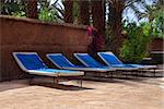 sunbathing beds among palm trees