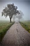 An image of a beautiful landscape with fog in bavaria germany