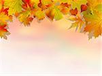 Autumn colorful backround. EPS 8 vector file included
