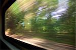 green trees - a blurred window view from a train in motion