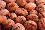 Nuts fruits macro photo walnuts harvest