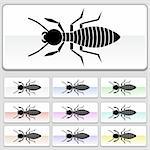 Set of 10 web buttons - termite.