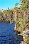 Pine forest on rocky coast of blue lake