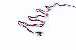 three russian flag color complex patchcords over white background