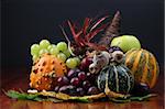 Autumn cornucopia - symbol of food and abundance