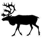 vector silhouette of the reindeer