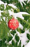 Christmas ornament on a branch of a pine