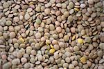 Bucket of Lentils in a Tuscan Market