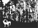 vector silhouette of the deers in thick wood