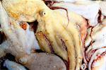 Octopus catch pattern from mediterranean sea fish market