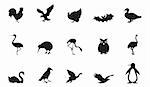 pieces of detailed vector bird silhouettes.