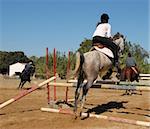 young teenager and her  horse in training of jumping competition