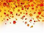 Fallen autumn leaves background. EPS 8 vector file included