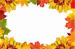 Autumn leaves border for your text