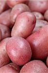 Close-up of fresh organic red potatoes. Shallow dof