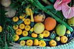 Pumpkins, Summer Squash, Gourd and Gac fruits