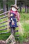 Stuffed scarecrow on a traditional fence in northern Sweden