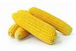 Some fresh raw corncobs on a white background