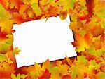 Image and Illustration composition for Thanksgiving invitation border or background with copy space.