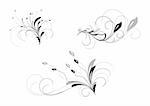 Collection of design floral elements. Vector