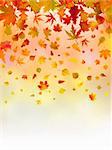 Bright leaves of autumn card with copy space for your text. EPS 8 vector file included