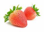 two strawberries on white background