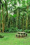 picnic place in forest