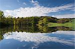 Summer landscape near the river