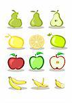 Set of vector fruits on white background