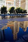 Reflection of Michigan Avenue buildings  in Chicago, IL.