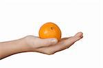 Tangerine on a palm on the white isolated background