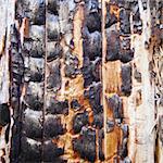 Charred cracked surface of the wood after fire
