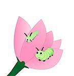 Two caterpillars on a pink flower