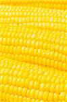 Extreme close up of yellow corn cobs